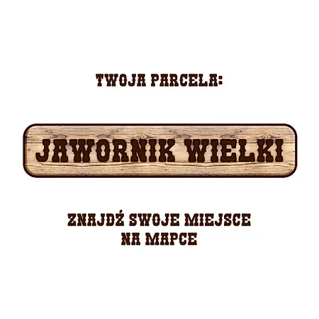 Gory Stolowe Camp - Caloroczne Miejsce Na Kamper, Przyczepe Lub Namiot Campingplatz