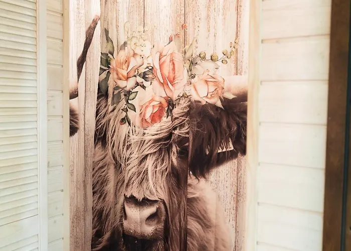 Gory Stolowe Camp - Caloroczne Miejsce Na Kamper, Przyczepe Lub Namiot Camping *